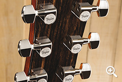 Taylor 600 Series Maple Guitar with Nickel Tuners