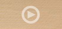 Maple Guitar Tonewood Review